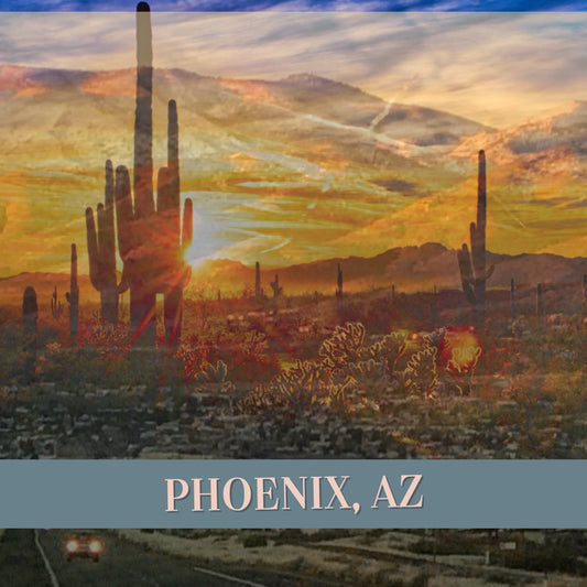 Waxing BootCamp | Phoenix AZ