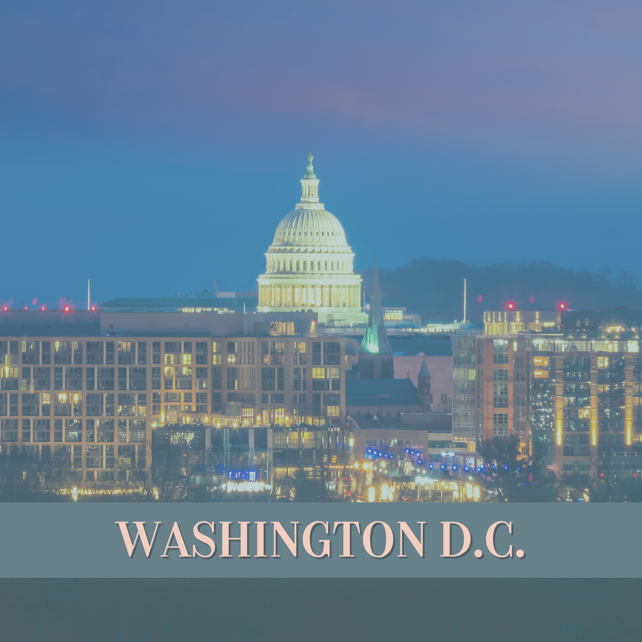 Waxing BootCamp | Washington D.C.